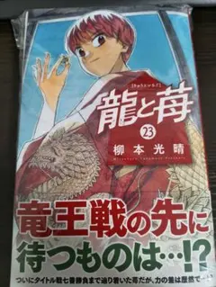 2026年最新】龍と苺の人気アイテム - メルカリ