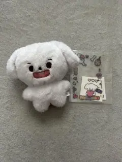 SF9 ジェユン JAEYOON ジェンベック 쟁109 ぬいぐるみ トレカ付き