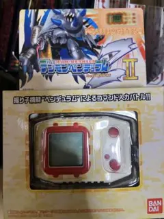 新品未開封 構築済みスターター 大海のカイオーガex 大地のグラードン