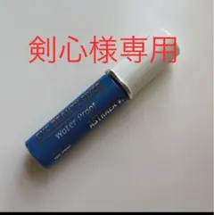 【剣心様専用】　アストレア ヴィルゴ