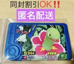 匿名配送　ポケモン　フレンダ　ベストタッグ　第1弾　トレジャー　メガニウム