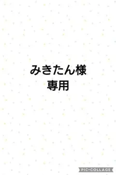 ■みきたん様専用■のサムネイル