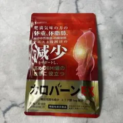 Item thumbnail for item 1dea34a8-dcbf-456b-80c6-d52228b708b8