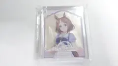 ウマ娘6th アニメイトカフェ Collota コロッタ ツルマルツヨシ