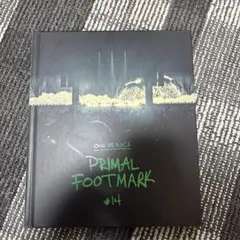 ONE OK ROCK PRIMAL FOOTMARK #14
