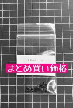 2026 スモークツリー種子 まとめ買い価格 - メルカリ