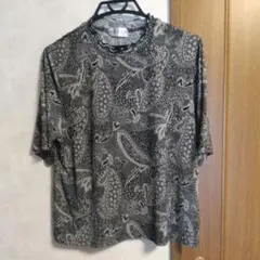 真里子の詩⭐️ ペイズリー柄 半袖カットソー 3Lサイズのサムネイル