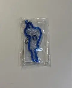 琵琶湖キーホルダー　滋賀レイクス　びわこキーホルダー　レイクスボール
