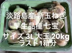 1000本　●玉ねぎ　苗　【北海道道東】　即購入OK 1000本 ○玉ねぎ 苗 【北海道道東】 即購入OK - メルカリ
