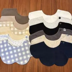 コニー　スタイ　12枚セット