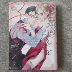 孤高のCEOと子作りすることになりました!