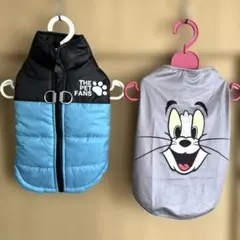 Item thumbnail for item 7b254549-84db-4d6d-ad90-45c409e1154b