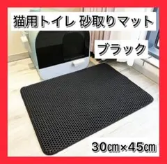 Item thumbnail for item a34eb493-a0b1-4659-be0d-cecd60b96d0c