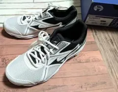 ミズノ Mizuno マキシマイザー22 スニーカー 25.0 新品未使用