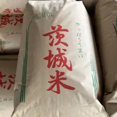 茨城県産 令和7年コシヒカリ 玄米 30kg 精米無料 - メルカリ