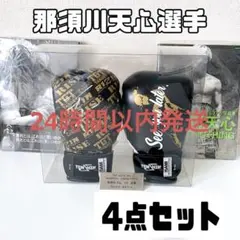 那須川天心 記念グローブ 武尊 那須川天心 武尊 【公式通販】 記念グローブ ボクシング
