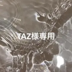 TAZ様 リクエスト 2点 まとめ商品