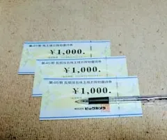 ビックカメラ 株主優待券 3000円分
