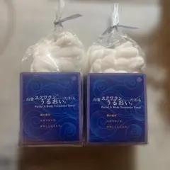 Item thumbnail for item e519afb9-63fc-484b-9151-8c53d5618be3