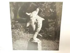 2025年最新】青葉市子 lpの人気アイテム - メルカリ