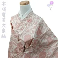 五37 えっと 着物 大島紬 白 奄美 トールサイズ