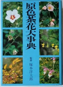 2026年最新】茶花大事典の人気アイテム - メルカリ
