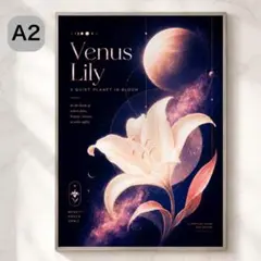アートポスターA1 宇宙アイリス モダンインテリア 壁掛け 遮光防水 502 