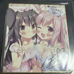 桃井愛莉 feat.マイメロディ 特訓後 ミニ色紙 サンリオ プロセカ 希少