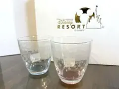 【新品未使用】東京ディズニーリゾート グラス 2個セット