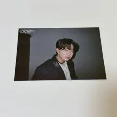 StrayKids exhibition 展覧会 ポストカード チャンビン