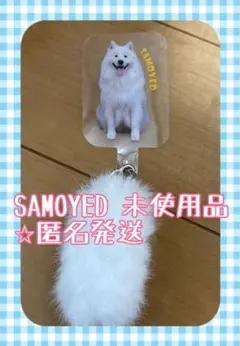 2026年最新】samoyed ファーの人気アイテム - メルカリ