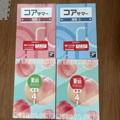 2025年SAPIX コアマスター 国語 6年 全6冊セット - メルカリ