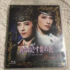 Item thumbnail for item 5508c46d-83d6-464e-8bc9-b100b6b6144c