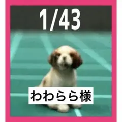 わわらら様 リクエスト 4点 まとめ商品