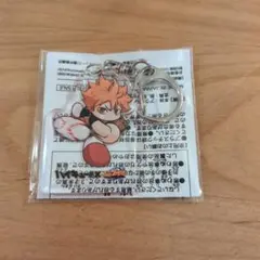 日向翔陽 アクリルキーホルダー KONAMIのサムネイル