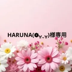HARUNA(❁ᴗ͈ˬᴗ͈)様 リクエスト 2点 まとめ商品