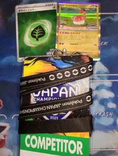 WCS2025 選手パス 選手限定 ストラップ COMPETITOR PASS 公式】SUPER GT on X: 
