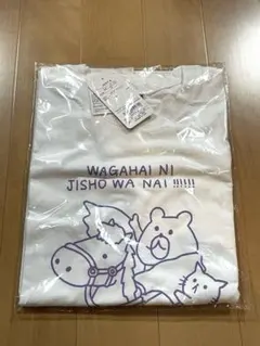 Item thumbnail for item f6321696-4ec9-4cc3-aacd-6b03808966e1