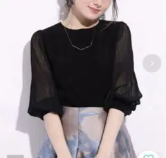 アプワイザーリッシェ 楊柳プリーツ袖ニット サイズ2 ブラック シアー袖