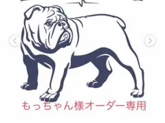 もっちゃん様オーダー専用