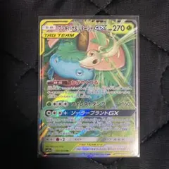 フシギバナ＆ツタージャGX RR SM11a リミックスバウト 001/064