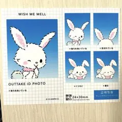 サンリオキャラクターズ 証明写真風 スマロイド NG集 ウィッシュミーメル