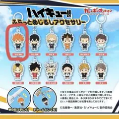 ハイキュー!! ふらっとめじるしアクセサリー 日向翔陽