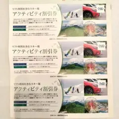 3枚セット 日本駐車場開発 株主優待 スキーアクティビティ割引券