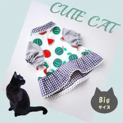 猫服SALE【スイカニットワンピ＊ネイビー】Bigサイズ　ハンドメイド