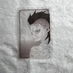 鬼滅の刃 カードコレクション 第1弾 不死川玄弥