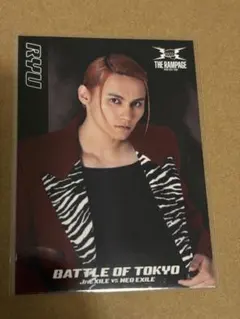 BOT フォトカ 龍