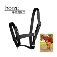 Item thumbnail for item 4c8672fe-740e-477e-a280-f54f7909ba36