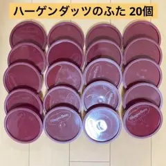 Häagen-Dazs プラスチックフタ 20個セット