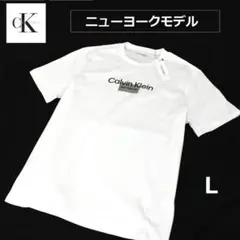 ラピッド店 (正規品取扱)